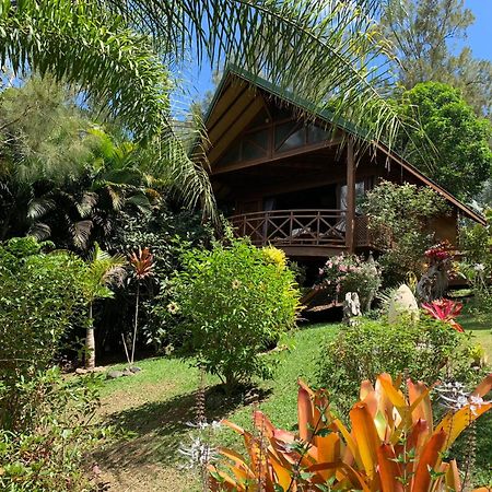 Le Nirvana - Oasis De Tendea - Farino Dış mekan fotoğraf